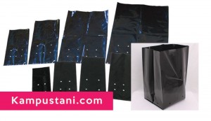 plastik polybag