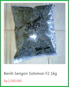 benih sengon solom f2