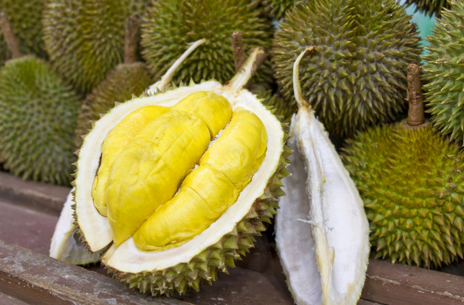 87 Gambar Okulasi Durian Paling Keren