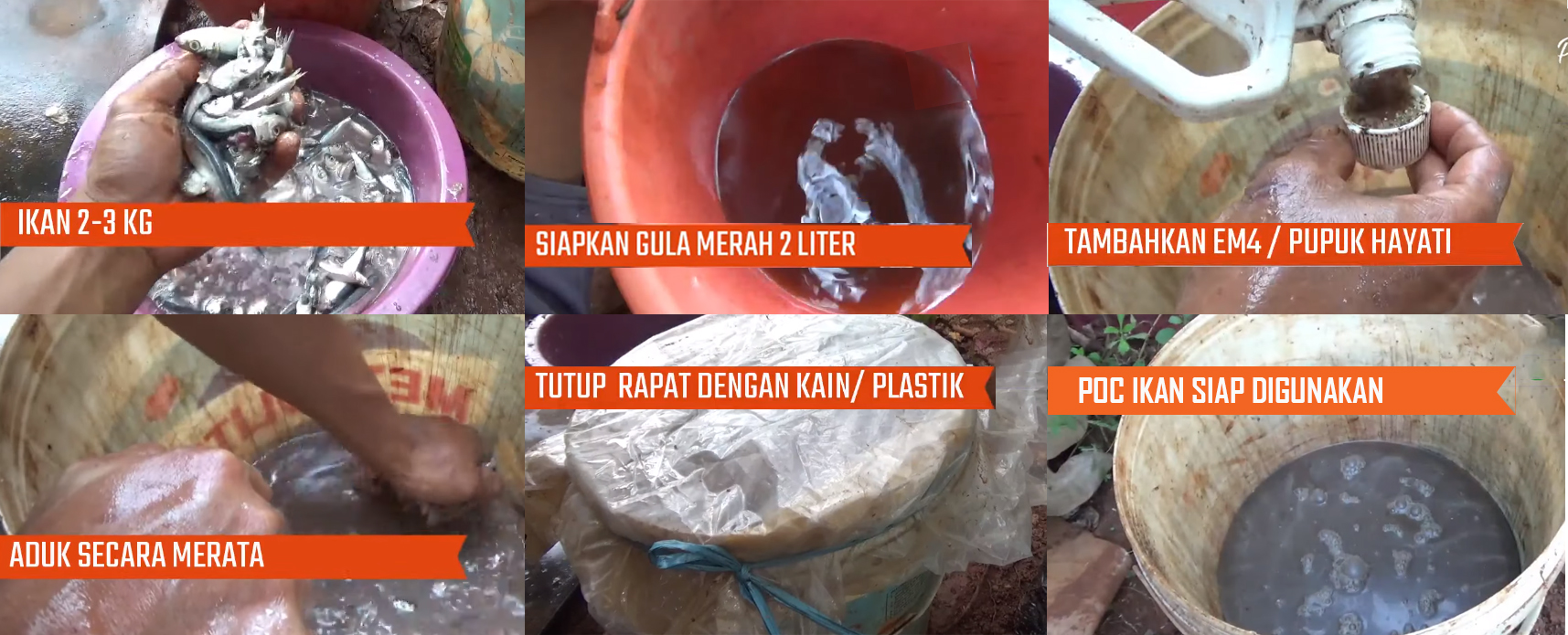 Cara Membuat Pupuk  Organik Cair Dari Limbah Ikan  