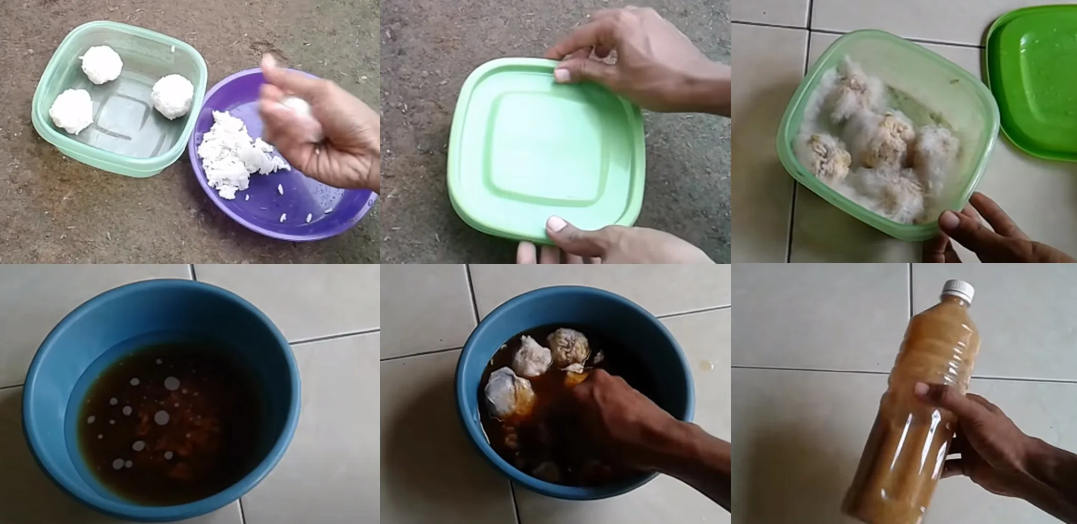 Cara Membuat Pupuk Organik Cair Dari Nasi Basi | Kampustani.com