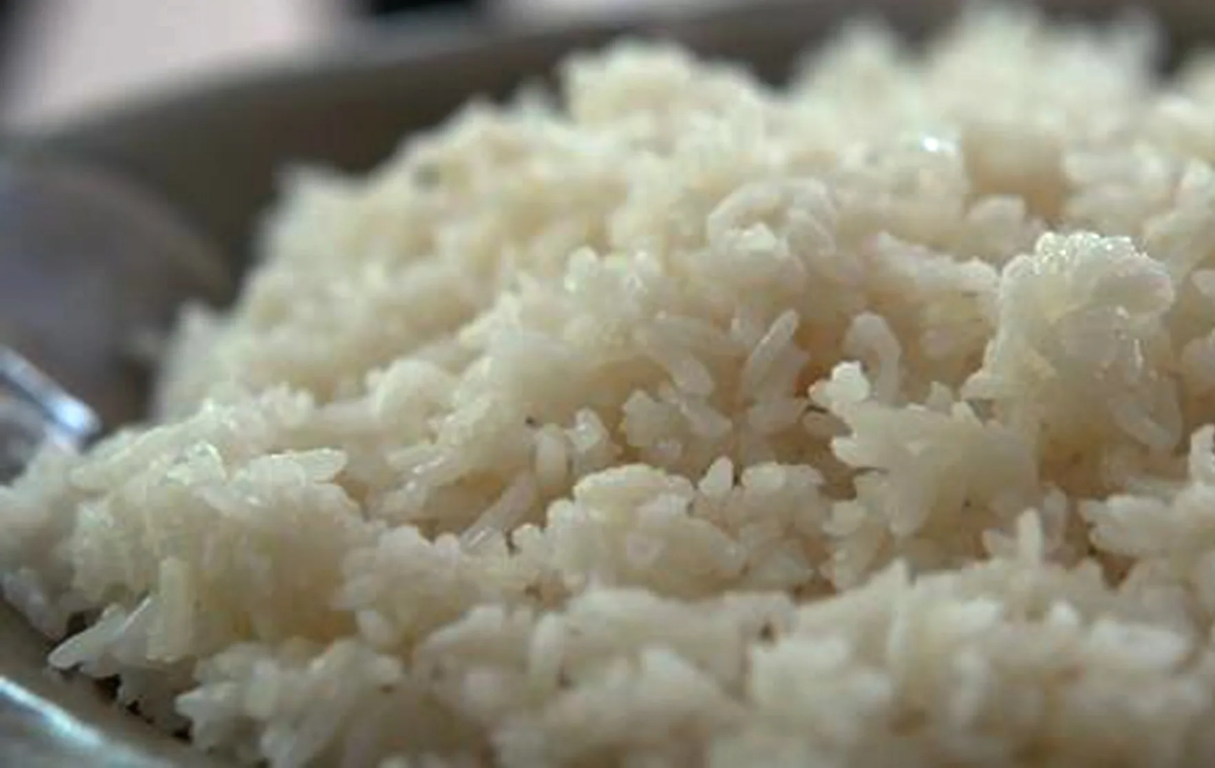 Cara Membuat Pupuk Organik Cair Dari Nasi Basi | Kampustani.com