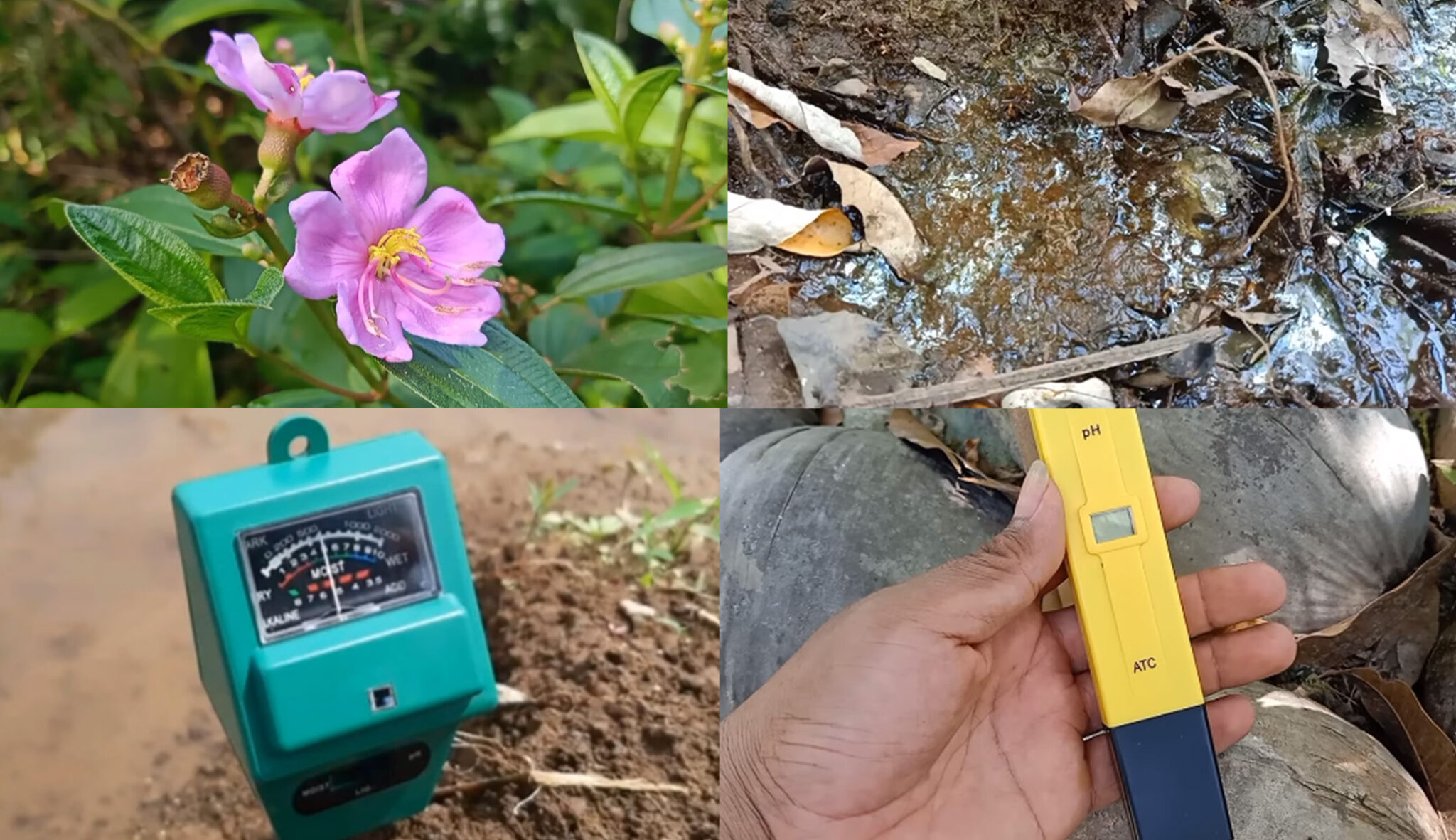 Hubungan pH tanah dan Ketersediaan Unsur Hara