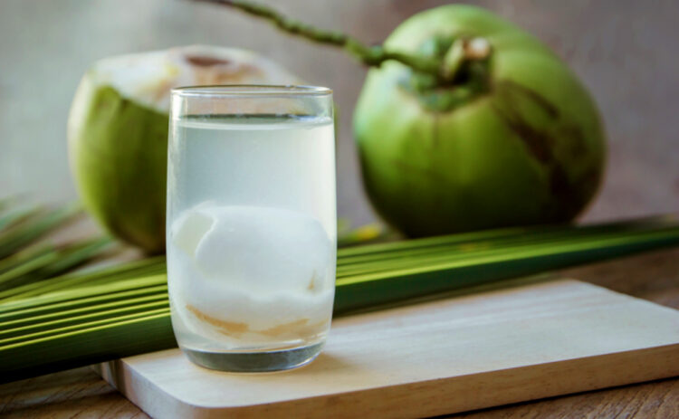 Cara Membuat ZPT dari Air Kelapa | KampusTani.Com